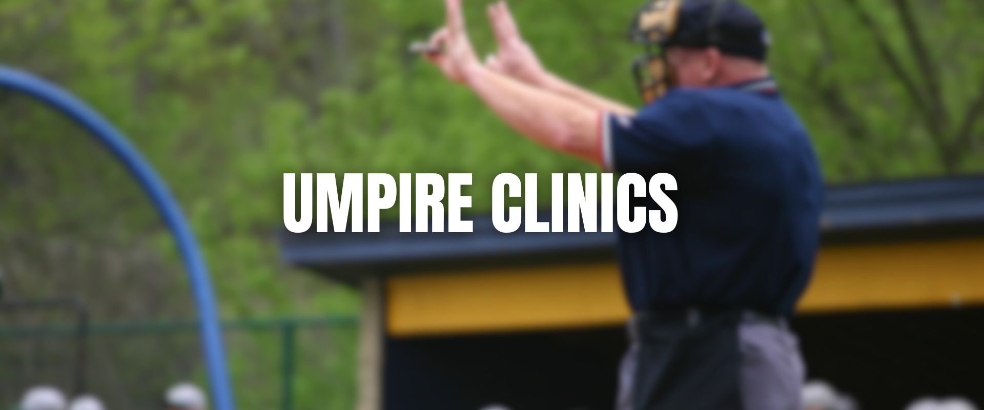 South West Edmonton Baseball site by RAMP InterActive